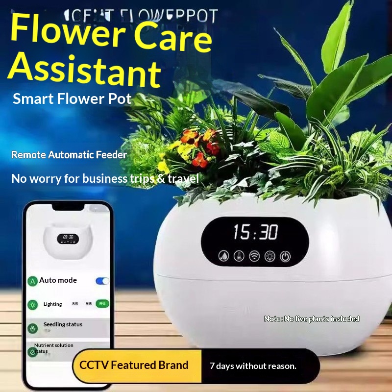 Inteligentna doniczka AI z aut – Flower Supply recenzja i cena